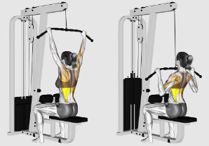 Lat pulldown to chest with wide grip, gym back exercises